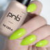 PNB Гель лак 251