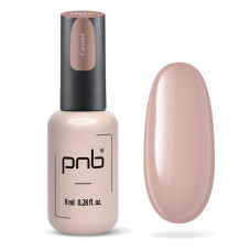 PNB Гель лак 087