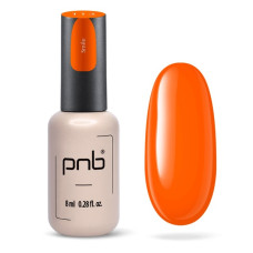 PNB Гель лак 113