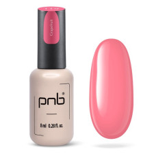 PNB Гель лак 119