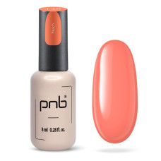 PNB Гель лак 138