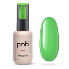 PNB Гель лак 221