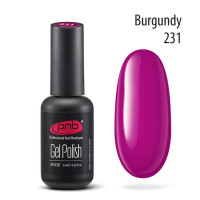 PNB Гель лак 231