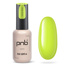 PNB Гель лак 251