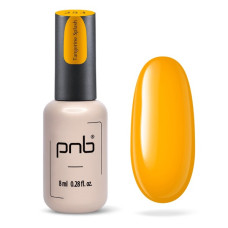 PNB Гель лак 253