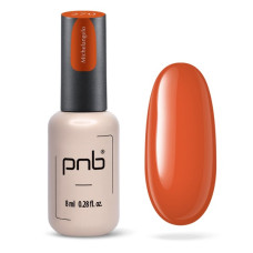 PNB Гель лак 270