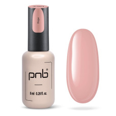 PNB Гель лак 290