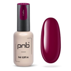 PNB Гель лак 336