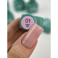 Siller Color Top 8мл 01