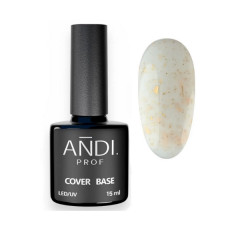 Andi Prof Potal Base 02