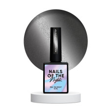 NAILSOFTHENIGHT Holographic Top Cat eye