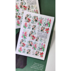 RichColor Foil slider 35