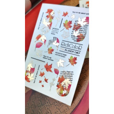 RichColor Foil slider 67